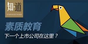 素質(zhì)教育：下一個上市公司在這里？