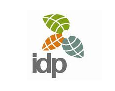 IDP上市計劃推遲，擬于2015年下半年IPO